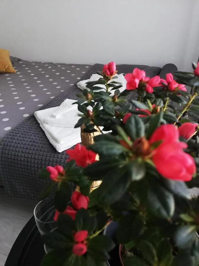Marlen'S Apartment Bucureşti